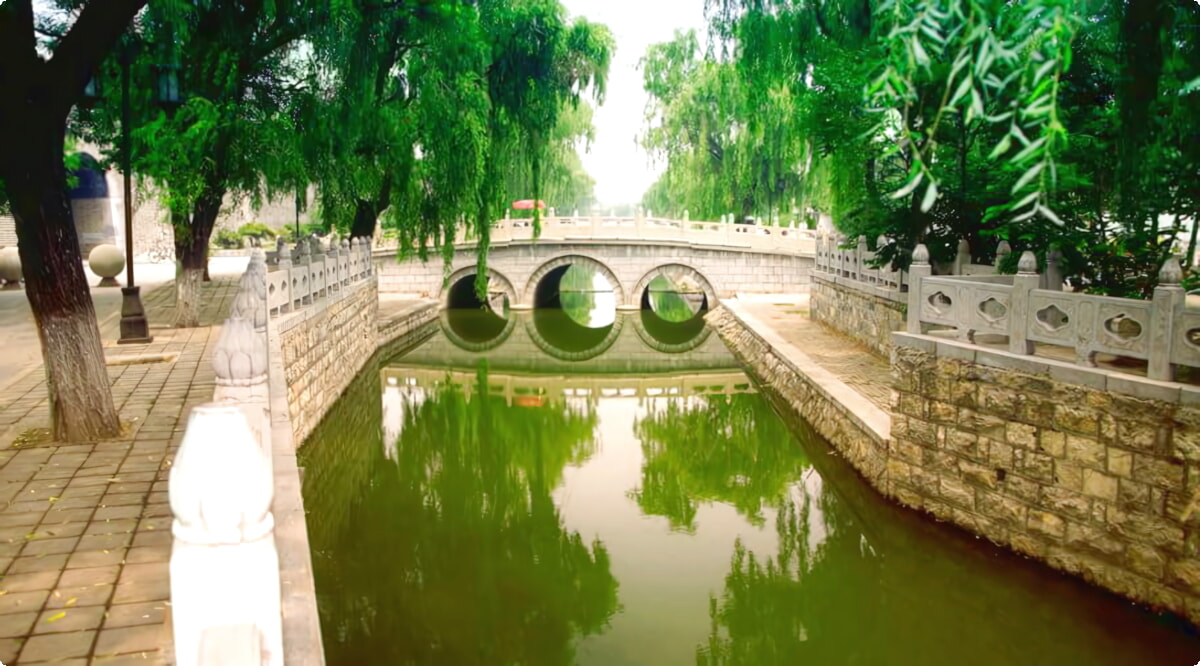 ¿Cuáles son las opciones de vehículos más populares en Jining?